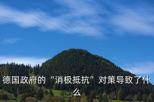 德國(guó)政府的“消極抵抗”對(duì)策導(dǎo)致了什么