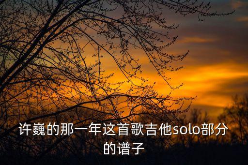 許巍的那一年這首歌吉他solo部分的譜子