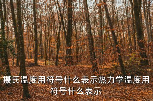 攝氏溫度用符號什么表示熱力學溫度用符號什么表示