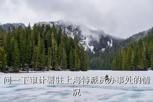 上海市審計(jì)局業(yè)務(wù)處，上海審計(jì)局局長相當(dāng)于什么級(jí)別