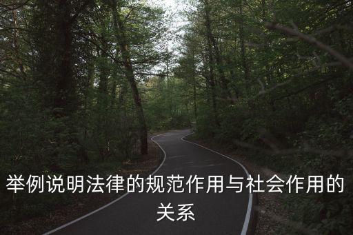 法律與社會，法律與其他社會規(guī)范的關系