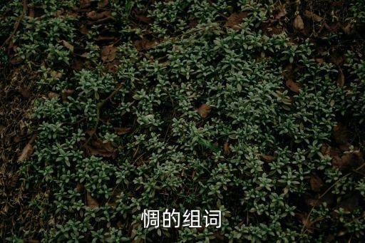 氐惆,中學(xué)語文學(xué)習(xí)詞匯表