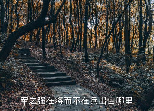 波拿馬，什么是波拿馬式統(tǒng)治
