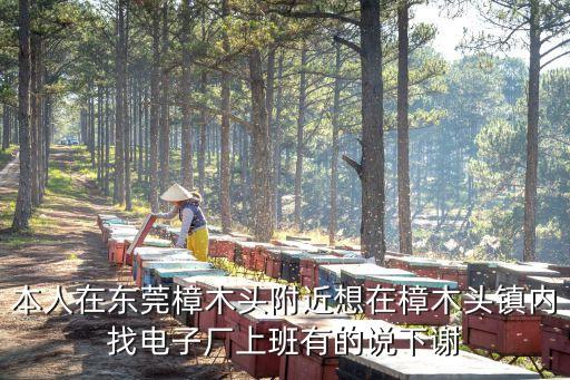 本人在東莞樟木頭附近想在樟木頭鎮內找電子廠上班有的說下謝