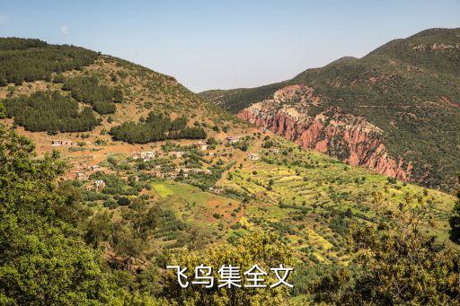 飛鳥集全文，誰有泰戈?duì)柕娘w鳥集全文