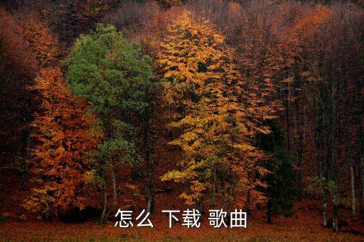怎么免費下載歌曲,免費下載歌曲攻略:首頁有廣告但功能齊全