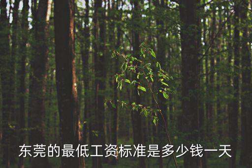 2020上調(diào)最低工資東莞，東莞最低工資