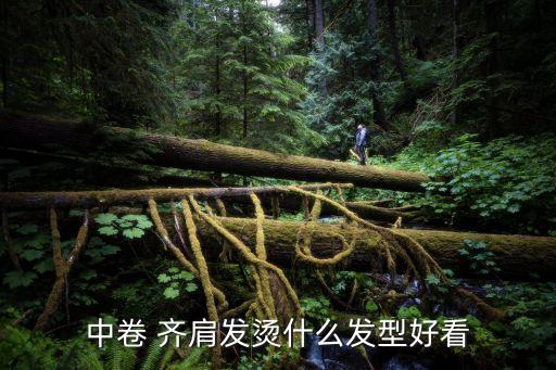 中卷 齊肩發燙什么發型好看