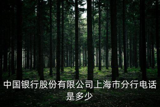 中國(guó)銀行股份有限公司上海市分行電話是多少
