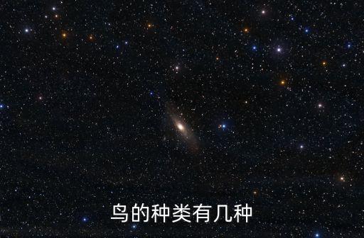 鳥的種類,鳥亞綱分類:始祖鳥是一種沒有牙齒的鳥