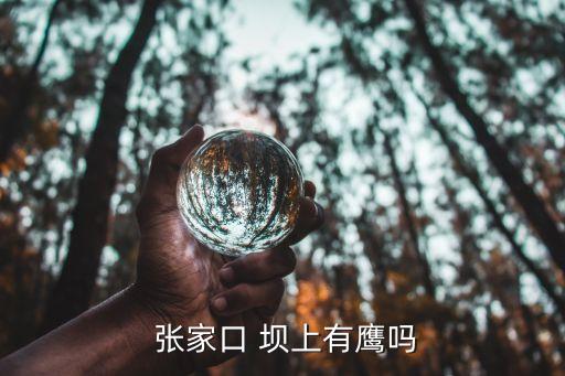 張家口壩上草原,河北壩上草原有五個壩上區(qū)