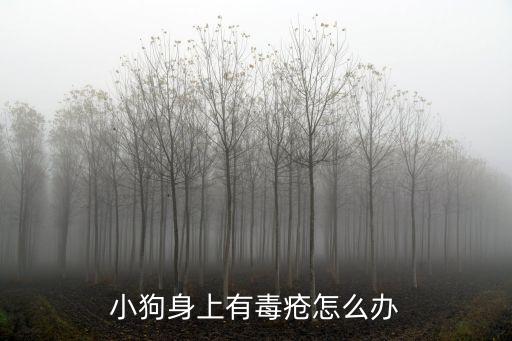 濕毒瘡,濕毒瘡:可內服或外用黃柏、野菊花、蒲公英湯等