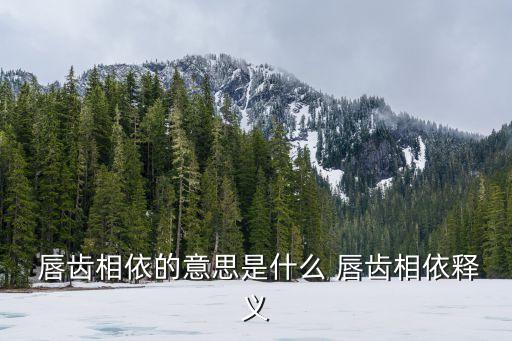 唇齒相依,唇齒相依:永不離開
