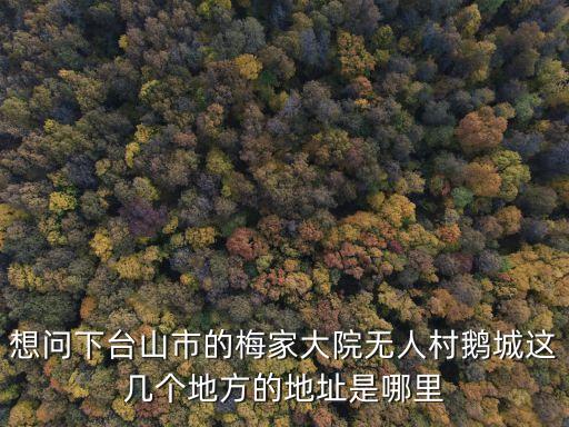 想問下臺山市的梅家大院無人村鵝城這幾個地方的地址是哪里