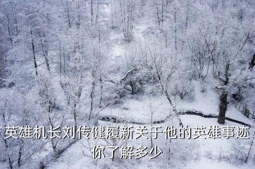 英雄機(jī)長(zhǎng)，求一本英雄飛行員機(jī)長(zhǎng)寫(xiě)的書(shū)的書(shū)名