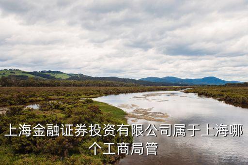上海市金融工委 級(jí)別，上海市金融服務(wù)辦公室主任 什么級(jí)別