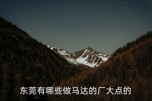 東莞有哪些做馬達的廠大點的