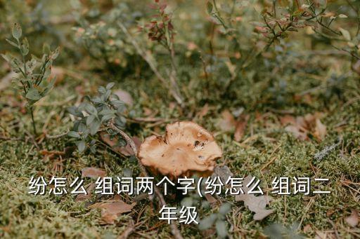 紛怎么 組詞兩個字(紛怎么 組詞二年級