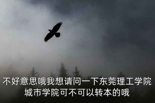 不好意思哦我想請問一下東莞理工學院城市學院可不可以轉本的哦