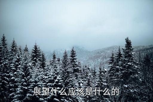 展望什么應(yīng)該是什么的