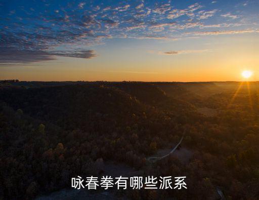詠春派，詠春拳有哪些派系