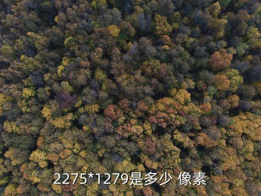 30萬像素,數碼圖片存儲方式是像素(密碼)