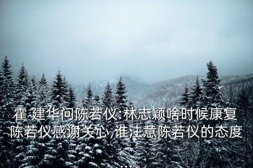 霍建華的老婆,我和你一樣希望被尊重霍建華娶媳婦