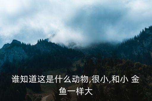 誰知道這是什么動物,很小,和小 金魚一樣大