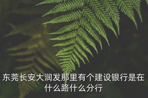 東莞長安建設銀行的開戶行，東莞長安大潤發那里有個建設銀行是在什么路什么分行