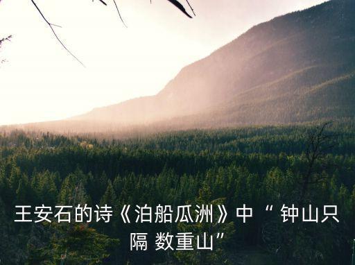 鐘山只隔數重山,鐘山與南京紫金山僅隔山數重山