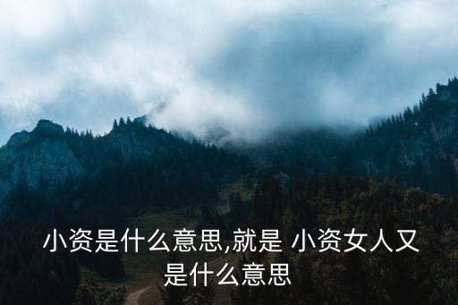 小資情調,is小資情調:追求精神享受的精神小資