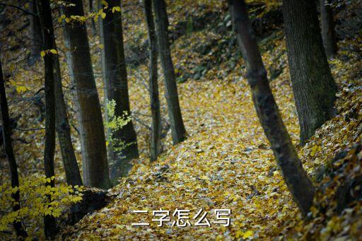 二怎么寫,六合一二合一大寫是二二:二心二意