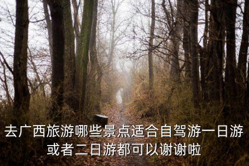 去廣西旅游哪些景點適合自駕游一日游或者二日游都可以謝謝啦
