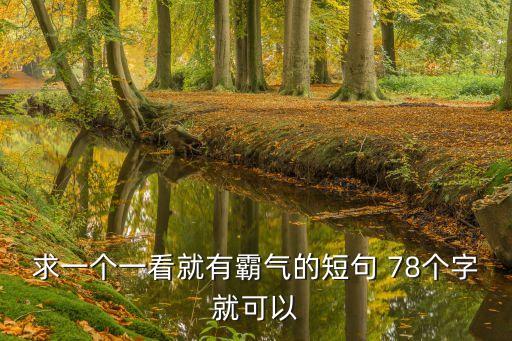 求一個(gè)一看就有霸氣的短句 78個(gè)字就可以