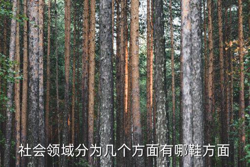 社會領域，社發(fā)領域什么意思
