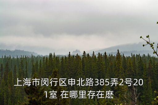 上海市申迪北路，上海市閔行區(qū)申北路385弄2號(hào)201室 在哪里存在麼