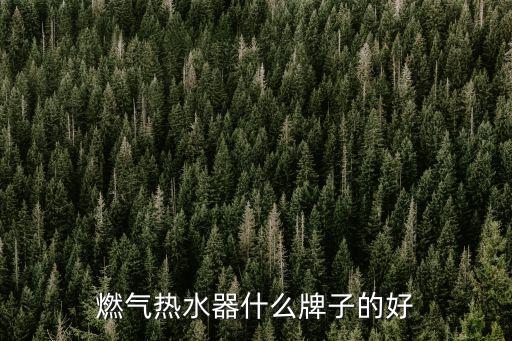 燃氣熱水器哪個牌子好，燃氣熱水器哪個牌子的比較好