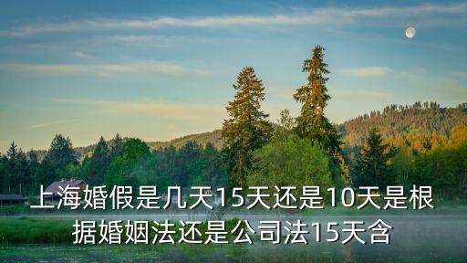 上海市婚假的法律規定，上?；榧僖幎?/></a></span><span id=