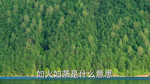 如火如荼是什么意思