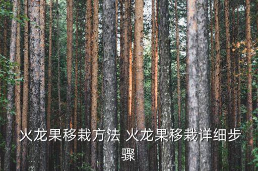 火龍果種苗,如何種植紅肉火龍果實?