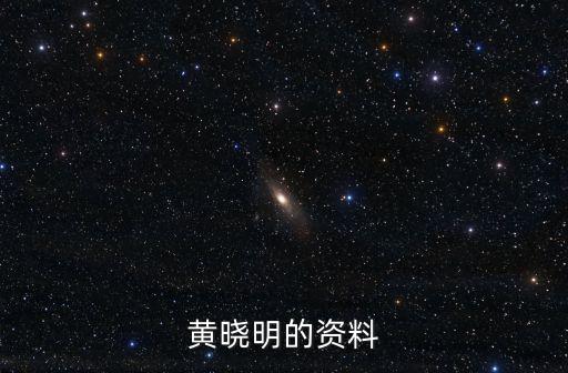 黃曉明資料，黃曉明的資料