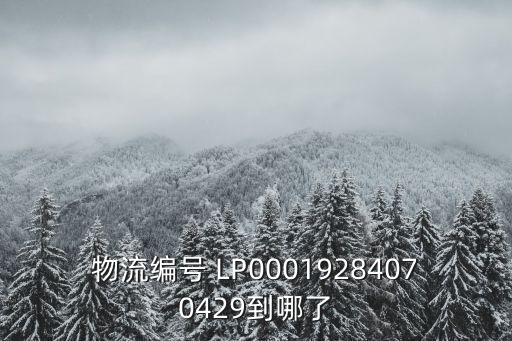 物流編號 LP00019284070429到哪了