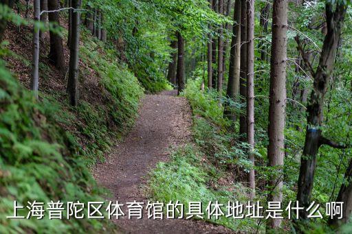上海普陀區體育館的具體地址是什么啊
