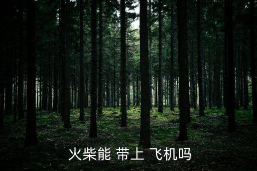 火柴能帶上飛機嗎,中國民航局:禁止乘客攜帶打火機乘坐飛機