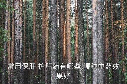 常用保肝 護(hù)肝藥有哪些,哪種中藥效果好