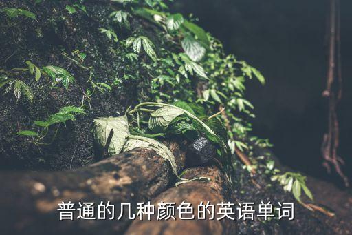 普通的幾種顏色的英語單詞