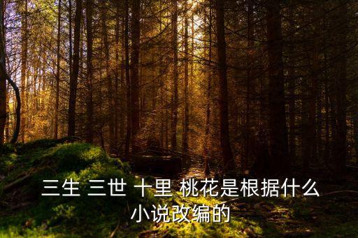  三生 三世 十里 桃花是根據(jù)什么 小說(shuō)改編的