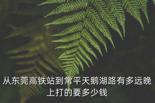 從東莞高鐵站到常平天鵝湖路有多遠晚上打的要多少錢
