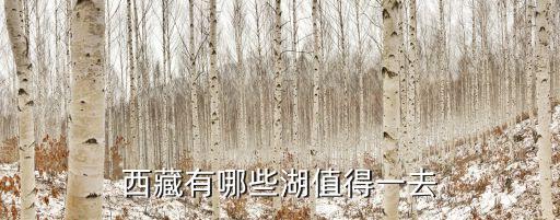 西藏的湖，西藏有哪些湖值得一去