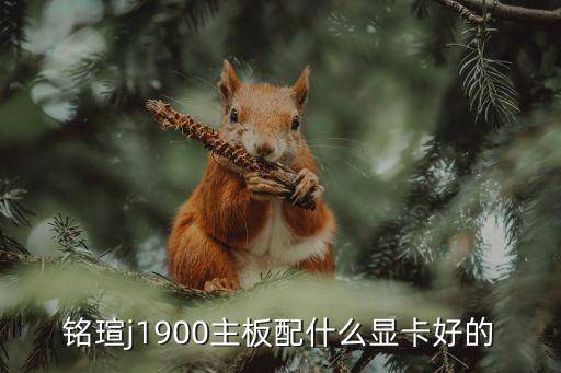 銘瑄j1900主板配什么顯卡好的
